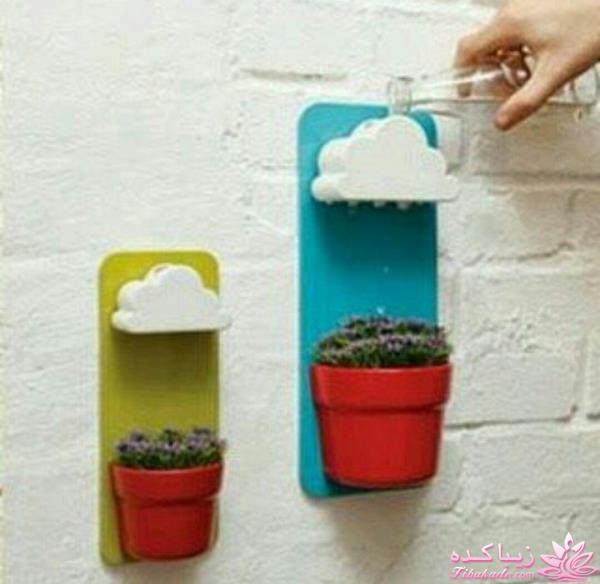 گیاهان آپارتمانی 